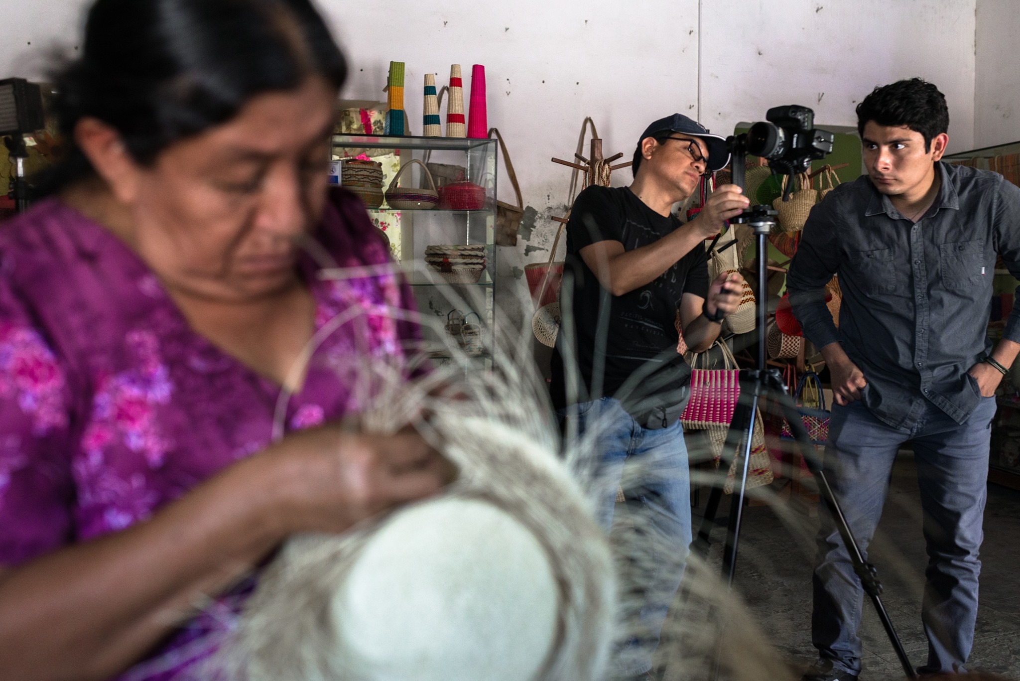 Which Camera Will Survive? Sony a1, Nikon Z9 and Canon R3